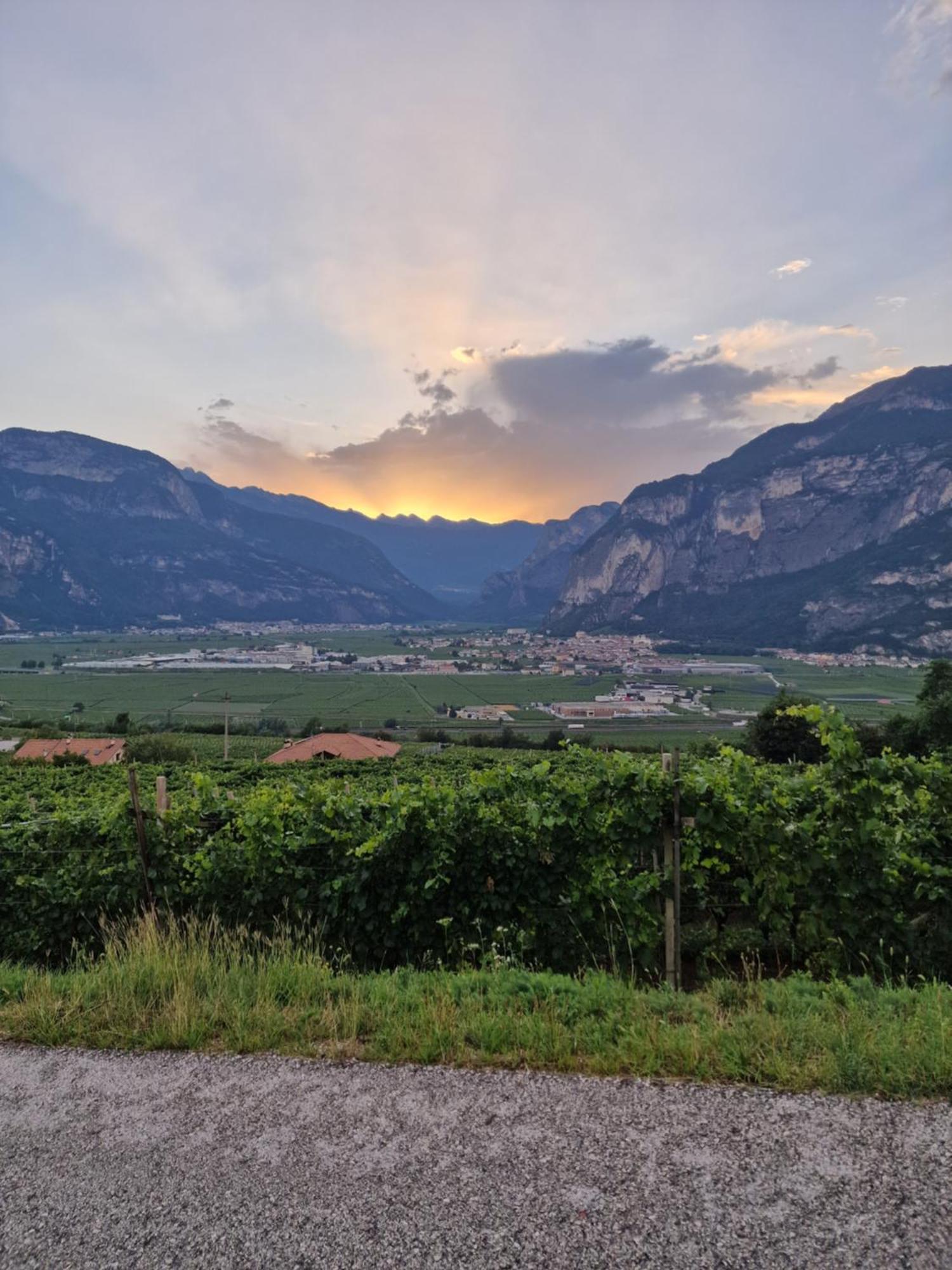 Hotel Garni La Vigna - Adult Friendly San Michele allʼAdige Zewnętrze zdjęcie